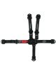 Impact Racing Harness Qtr Mdgt L&L Pull-Down Right Lap Individual 5pt