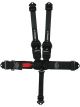 Impact Racing Harness 3in. L&L Pull-Up Right Lap 3in. to 2in. Trans 5