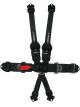 Impact Racing Harness 3in. L&L Pull-Down Both Lap 3in. to 2in. Trans