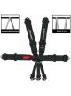 Impact Racing Harness 3in. L&L Pull-Up Both Lap Individual 7pt SFI 16