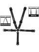 Impact Racing Harness Qtr Mdgt Camlock Pull-Down Right Lap Individual