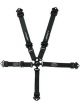Impact Racing Harness Qtr Mdgt Camlock Pull-Down Both Lap Individual