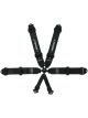 Impact Racing Harness 3in. Camlock Pull-Down Both Lap Indivudual 6pt