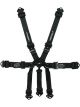 Impact Racing Harness 2in. Camlock Pull-Down Both Lap Individual 7pt