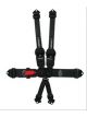 Impact Racing Harness 2in. Camlock Pull-Up Both Lap Individual 6pt SF