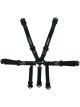 Impact Racing Harness 2in. Camlock Pull-Up Both Lap Indivudual 7pt Fo