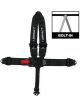 Impact Racing Harness 3in. Integral L&L V-Type 7pt SFI 16.1 Black Set