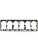 Mahle Cylinder Head Gasket Cont Mm Olv F227 F244 F245 Fa244 Engs(Sa) Mm
