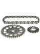 Mahle Timing Chain Set Link Belt GMC Pass. & Trk. 262 (4.3L) Engine (197