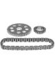 Mahle Timing Chain Set Link Belt GMC Pass. & Trk. 215 225 231 350 (Buick