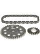 Mahle Timing Chain Set GMC Trk. 262 (4.3L) Engine VIN Z with Balance sha