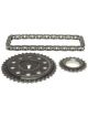 Mahle Timing Chain Set GMC Trk 496 (8.1L) V8 Engine (2002-2004) Set