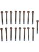 Mahle Cylinder Head Bolts Chevrolet Trk GMC-Trk 379(6.2L)Eng.(82-90)(C