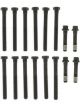 Mahle Cylinder Head Bolts GM-Trk V8 Engs. 366 402 427 454(65-93)