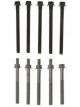 Mahle Cylinder Head Bolts GM-Pass 134(2.2L)Eng.(93-94)