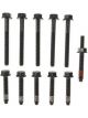 Mahle Cylinder Head Bolts Ford-Pass&Trk 302(5.0L) (1968-2001)