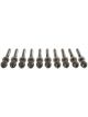 Mahle Cylinder Head Bolts VW 2.0L Azg 2001-2005