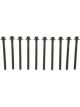 Mahle Cylinder Head Bolts Ford (5.0L) DOHC 32V V8 Coyote. (2011-2015)