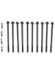 Mahle Cylinder Head Bolts Dodge Trk 4.7L 1999-2013. (Includes Both Lon
