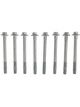 Mahle Cylinder Head Bolts GM 4.3L Vin H (2014-2017)