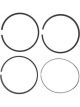 Mahle Sleeve Assembly Ring Set Cat. 105Mm / 4.134 Bore 3114 3116 (OE#7E