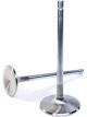 Manley Valves Exhaust Stainless Steel 1.625 in. Diameter .342 in. Stem