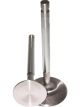 Manley Valves Intake Stainless Steel 2.080 in. Diameter .341 in. Stem