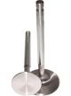 Manley Valves Intake NK-844 Stainless 2.065 in. Diameter .3720 in. Ste