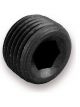 Nitrous Oxide Systems Pipe Fitting Allen Pipe Plug 1/16 NPT Black