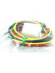 Racepak Power Distribution Module Harness Warn & Shift Udx