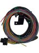 Racepak Wiring Harness Data Acquisition Iq3 Dash Harness Replaceme