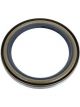 Strange C-Clip Eliminator Seal Replacement