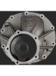 Strange Solid Adjuster Nuts Strange 3.250 in. Bore Case Pr.
