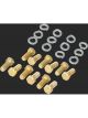 Strange 12 Bolt Ring Gear Bolts With Lock Washers- Set
