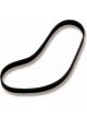 Weiand Supercharger Drive Belt 10-Rib 53.3 in. 177 Supercharger with 7