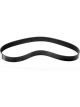 Weiand Belt Serpentine 10-Rib 47.10 in. Length