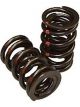 Airflow 1.55 Inches Dual Valve Springs