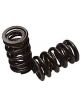 Airflow 1.290 Inches Dual Valve Springs