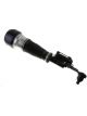 Bilstein B4 OE Replacement Air Suspension Strut Front Spring