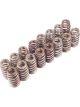 For Ford Racing BOSS 302R Valve Spring Kit