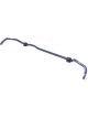 H&R 16-18 For BMW M2 F87 25mm Non-Adjustable Sway Bar Rear