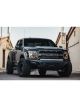 Addictive Desert Designs For 17-18 Ford F-150 Raptor HoneyBadger…