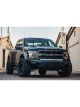 Addictive Desert Designs For 17-18 Ford F-150 Raptor HoneyBadger