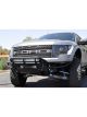 Addictive Desert Designs For 10-14 Ford F-150 Raptor Race Series