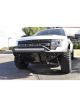 Addictive Desert Designs For 10-14 Ford F-150 Raptor Stealth Fro…