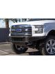 Addictive Desert Designs For 15-17 Ford F-150 EcoBoost Venom Fro…