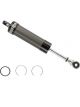 Bilstein Motorsport AS2 Series Monotube Shock Absorber Dry Non-Adjustable 46mm