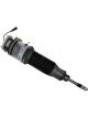 Bilstein B4 OE Replacement Air Suspension Strut