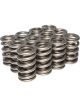 COMP Cams Dual Valve Springs .675in Lift