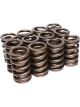 COMP Cams Valve Springs 1.255in High Per